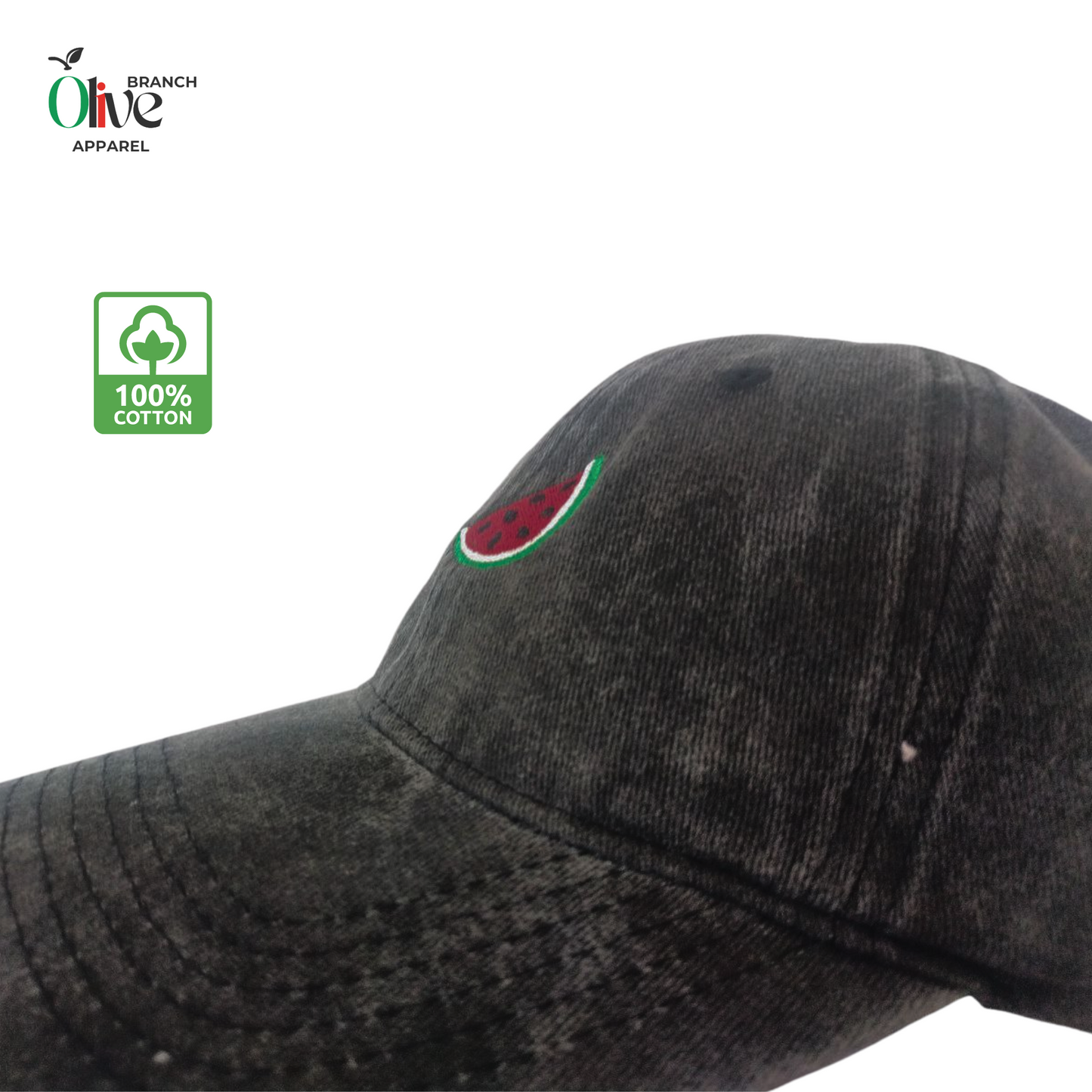 unique watermelon embroidered black hat  